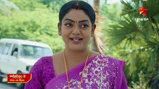 Karthika Deepam  Promo  16th Nov 2024  Star Maa Serials  MonSat at 8 pm  Star Maa [upl. by Loggins360]