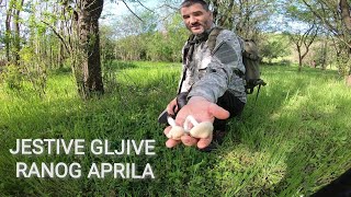 JESTIVE GLJIVE RANOG APRILA [upl. by Triplett]