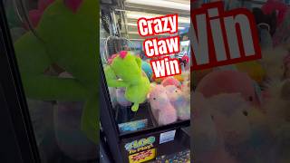 I won a meditating cat 😸 clawmachine cat win [upl. by Lienet]