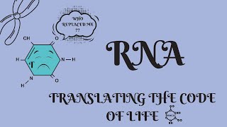 What is RNA 🧬🤔 Structure of RNA 🧬 MK Tutorials [upl. by Drofhsa39]