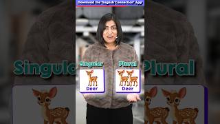 12 Irregular Plurals ✅ You Must Know 😱  Singular vs Plural Words  English Connection shorts [upl. by Aronoh]