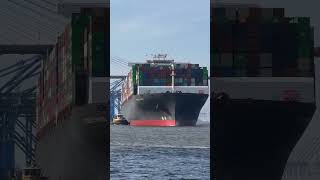 Power of the Tugboat Assisting a Giant Container Ship Out of Savannah Harbor 🌊🚢 [upl. by Duile]