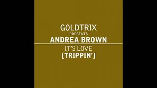 Goldtrix pr Andrea Brown  Its Love Trippin Radio Edit [upl. by Romelda]