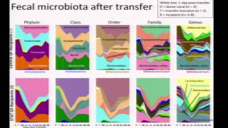 Microbiome and Obesity  Martin Blaser [upl. by Bekki]