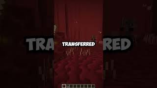 What The Nether Update Couldve Been [upl. by Lalla281]