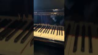 Yamaha Disklavier C3 1999 DC311XG [upl. by Gaulin]