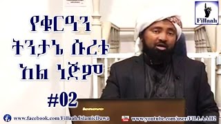 የቁርዓን ትንታኔ ሱረቱ አን ነጅም 02  ሼህ መሃመድ ሀሚዲን  Sheikh Mohammed Hamidiin [upl. by Heiner]