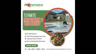 Are Termites Eating Away at Your Property [upl. by Mailli518]