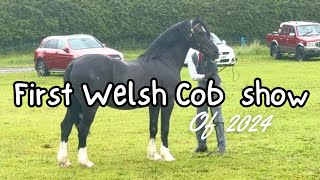 THE FIRST WELSH COB HORSE SHOW OF THE YEAR [upl. by Horne]