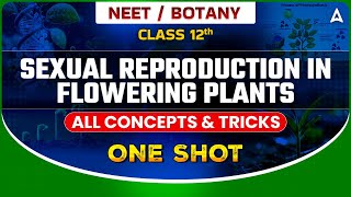 SEXUAL REPRODUCTION IN FLOWERING PLANTS CLASS 12 ONE SHOT  ALL CONCEPTS amp TRICKS  SANKALP BHARAT [upl. by Michael]