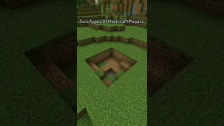 Two Types Of Minecraft Players minecraft youtubeshorts [upl. by Nuli]