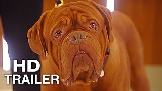 TURNER amp HOOCH Official Trailer 2021 Disney Series [upl. by Annait]