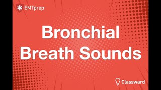 Bronchial Breath Sounds Animation  EMTprepcom [upl. by Claudianus]