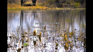 명상 풍경 사진 음악 주남 저수지의 풍경1 Meditation Scenery Photography Music The scenery of Junam Reservoir [upl. by Flor]