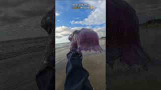 Rescue Mission Saved rare venomous Blue Jellyfish 🥺 [upl. by Dremann]