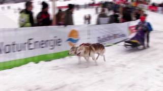 Schlittenhunderennen Todtmoos 2012 Zeitlupenstudien [upl. by Lavinie168]