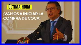 🔴LA POLÉMICA PROPUESTA DE PETRO ¿CÓMO PLANEA COMPRAR COCA EN EL PLATEADO [upl. by Nugesulo322]