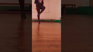 Teaching beginner Irish heavy jig [upl. by Akelam]