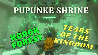 PUPUNKE SHRINE KOROK FORESTRAURUS BLESSING TEARS OF THE KINGDOM TUTORIAL [upl. by Eaver982]