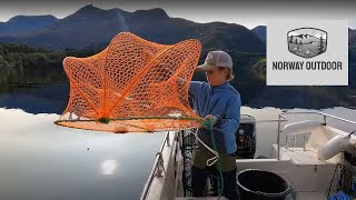 Caught 7 lobsters in Austefjorden Volda  Norway [upl. by Croom]