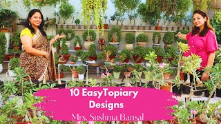 10 Easy Topiary Designs Topiary Garden Ideas Topiary Plants Topiary Designs Topiary Jade Plant [upl. by Supen]