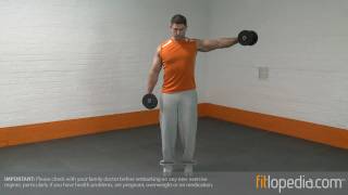 Alternate Dumbbell Lateral Raise [upl. by Malo]