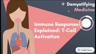 Immune Response Explained TCell Activation [upl. by Yspyg]