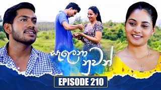 Salena Nuwan සැලෙනා නුවන්  Episode 210  07th December 2024 [upl. by Haikan]