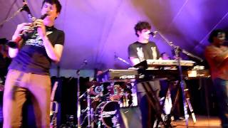 Brasstronaut  Insects  Hillside2010 HD [upl. by Eido458]