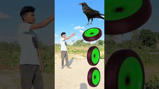 Spining Tyre PNG to peacock tota kabutar and crow vfx shorts video trending shorts [upl. by Gaillard575]