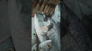 SMELL OF FISH CHUTTU VIRAL [upl. by Cence]