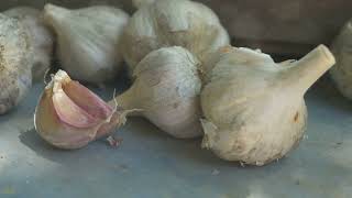 Garlic The Ultimate Health Booster [upl. by Coffin286]