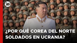 🚨 ¿Por qué COREA DEL NORTE tiene SOLDADOS EN UCRANIA [upl. by Hodgkinson]