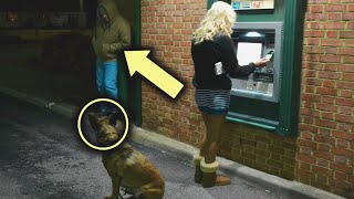 Man Attacks Woman at ATM – Unaware Her Dog Is a Trained Police Officer [upl. by Jaal]