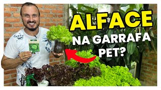 Como ter ALFACE O ANO INTEIRO cultivando na garrafa PET [upl. by Nnylg]