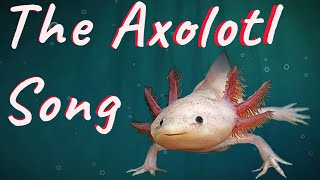 The Axolotl Song  Reptile Raps [upl. by Adnov412]