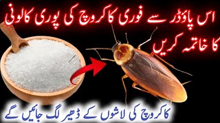 How To Get Rid of Cockroaches in Kitchen  How To Remove cockroaches From Home  Homemade remedies [upl. by Aihsenal658]