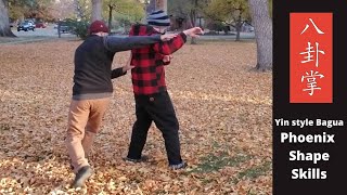 Yin Style Baguazhang Phoenix Shape Skills [upl. by Bobina]