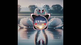 SWAN 🦢❤️✨ FLM PIANO ORIGINAL [upl. by Nylakcaj]