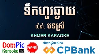 ទឹកហូរឆ្ងាយ បទស្រី ភ្លេងសុទ្ធ Tek Ho Chngay DomPic [upl. by Siuqaj]