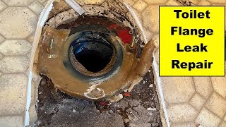 Toilet Flange Leak  Subfloor Replacement [upl. by Towland]