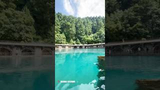 📍verinag kashmir short vlog arijitsingh song music love bollywood viralvideo viralshorts [upl. by Dorcus785]