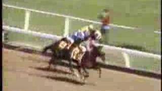 Chiefs Crown  1984 Breeders Cup Juvenile [upl. by Weitzman]