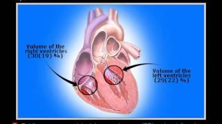 Radio nuclide Ventriculography [upl. by Meensat74]