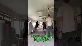 Punch ball the next big sport 🤩🤩 shorts punchball indoorbaseball baseball kickball [upl. by Kristine765]