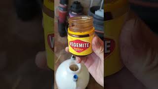 Using Vegemite as orchid root booster [upl. by Ardnoel974]