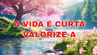 A Vida é Curta Valorizea Mensagem de Bom Dia e Reflexão [upl. by Bancroft239]