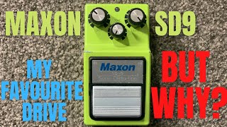 A Modern Classic Maxon SD9  Indepth review [upl. by Ornas]