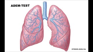 HYPERVENTILATIE TEST ADEMTEST OF CONTROLEPAUZE TEST  buteyko methode [upl. by Halas868]