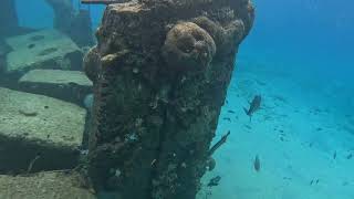 Snorkeling Isadel Park Bonaire [upl. by Ahsat81]